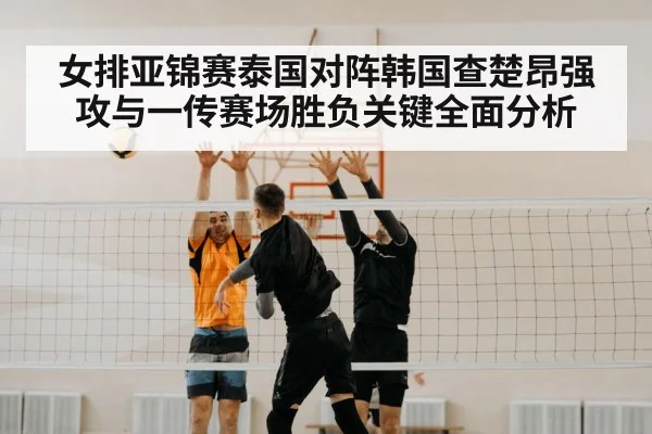 volleyball net block